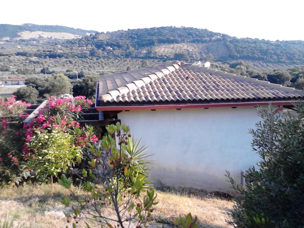 Affittacamere Valverde Di Naitana Rita Alghero Oda fotoğraf